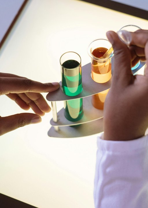 Comprehensive Guide to Easy Biology Experiments for Budding Scientists